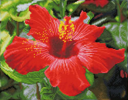 Diamond Dotz Hibiscus in Bloom - Needleart World