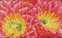 Diamond Dotz Desert Blooms - Needleart World