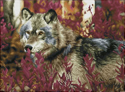 Diamond Dotz Autumn Wolf - Needleart World