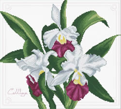 Pre-printed cross stitch kit Bouquet of Orchids - Needleart World