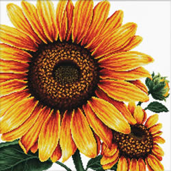 Pre-printed cross stitch kit Sunflower - Needleart World