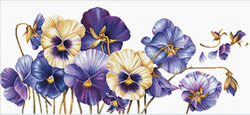 Pre-printed cross stitch kit Purple Pansies - Needleart World