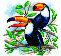 Borduurpakket Toucan - PANNA