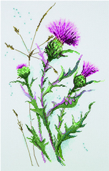 Cross Stitch Kit Thistle - PANNA