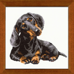 Cross Stitch Kit Badger Dog - RIOLIS