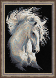 Cross Stitch Kit AndalusianCharacter - RIOLIS