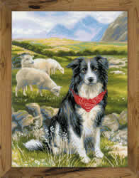 Cross stitch kit Border Collie - RIOLIS