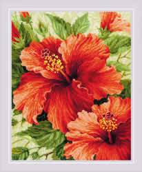 Cross stitch kit Hibiscus - RIOLIS