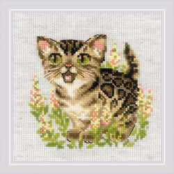 Cross stitch kit Bengal Kitten - RIOLIS
