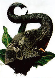 Borduurpatroon Indian Elephant - Ross Originals