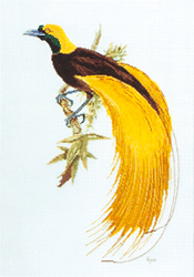 Cross Stitch Chart Greater Bird of Paradise - Ross Originals