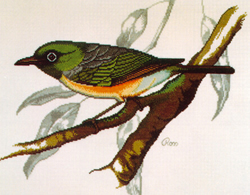 Borduurpatroon Silvereye - Ross Originals