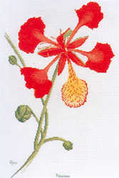 Cross Stitch Chart Poinciana - Ross Originals