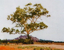 Borduurpatroon Macdonnell Ranges - Ross Originals