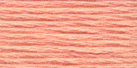 Venus Embroidery Floss #25 - 2110