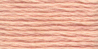 Venus Embroidery Floss #25 - 2122