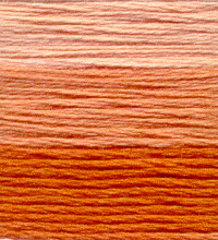Venus Embroidery Floss ombr #25 - 7