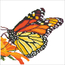 Diamond Art Monarch Butterfly - Leisure Arts