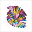 Diamond Art Colored Cat - Leisure Arts