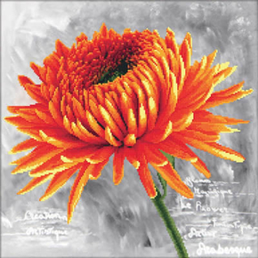 Pre-printed cross stitch kit Orange Dahlia - Needleart World