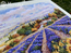 Cross stitch kit Fields of Lavender and Sun - Merejka