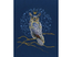 Cross stitch kit King Eagle Owl - RTO
