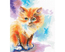 Cross stitch kit Sunny Kitten - RTO