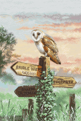 Cross stitch kit Barn Owl - Leti Stitch