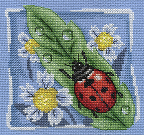 Borduurpakket Ladybug - PANNA