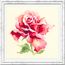 Borduurpakket (m) Beautiful Rose - Magic Needle