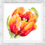 Cross stitch kit Red Tulip - Magic Needle