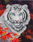 Diamond Dotz White Tiger in Autumn - Needleart World