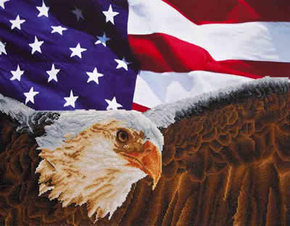 Diamond Dotz Bald Eagle & Flag - Needleart World