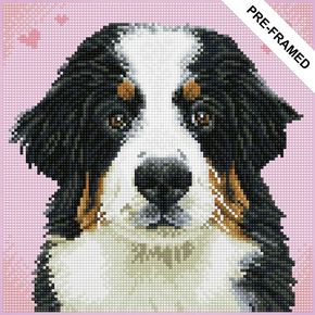 Diamond Dotz Pre-framed Kit - Say Hello to Zuzu - Needleart World