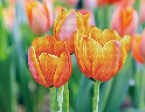 Simply Dotz Love Tulips - Needleart World