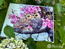 Borduurpakket Two Owls in Spring Blossom - Merejka