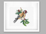 Cross stitch kit Goldfinch Bird - Luca-S