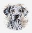 Cross stitch kit The Dalmatian - Luca-S