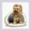 Cross stitch kit Yorkshire Terrier - RIOLIS