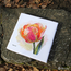 Cross stitch kit Parrot Tulip - Merejka