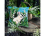 Kussen borduurpakket White Rabbit - Collection d'Art