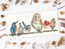 Cross stitch kit Hannah Dale - Variety Of Life - Bothy Threads