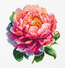 Borduurpakket Coral Charm Peony - Luca-S