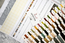 Cross stitch kit The Mysterious Magnolias - Luca-S