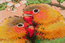 Borduurpakket Lovebirds - RIOLIS