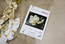 Petit Point stitch kit The Magnolia Dew - Luca-S