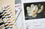 Cross stitch kit The Magnolia Dew - Luca-S