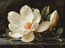 Cross stitch kit The Magnolia Dew - Luca-S