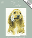 Cross stitch kit Daisy Cocker Spaniel - Heritage Crafts