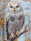 Cross stitch kit Wildwood Owl - Aine
